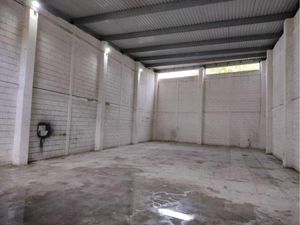 Bodega en Renta en Adolfo Lopez Mateos Veracruz