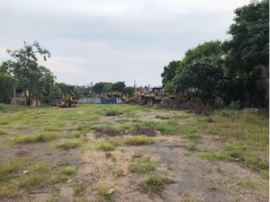 Terreno en Renta en Maria C de Rojas Veracruz