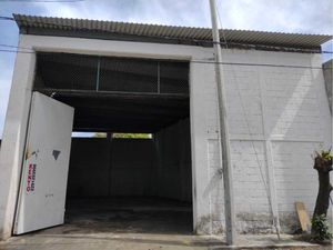 Bodega en Renta en Adolfo Lopez Mateos Veracruz