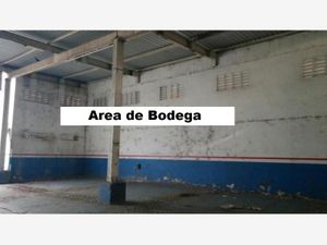 Bodega en Renta en Veracruz Centro Veracruz