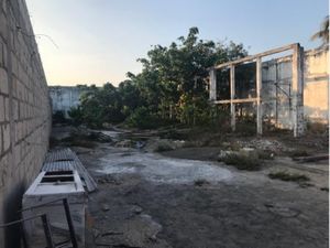 Terreno en Renta en Formando Hogar Veracruz