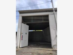 Bodega en Renta en Adolfo Lopez Mateos Veracruz