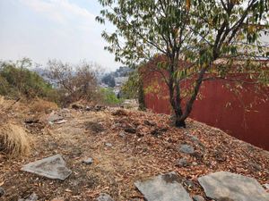 Terreno en Venta en Lomas de San Mateo Naucalpan de Juárez