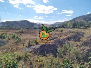 Terreno en Venta en Jardines de Santa Anita Tlajomulco de Zúñiga