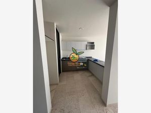 Casa en Renta en Bosques de San Gonzalo Zapopan