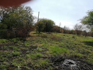 Terreno en venta Montemorelos