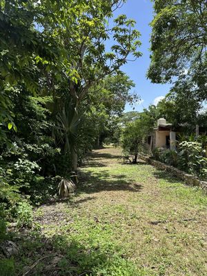 EN VENTA TERRENO EN CHOLUL, MÉRIDA (A UN COSTADO DE LA CARRETERA MÉRIDA-MOTUL)