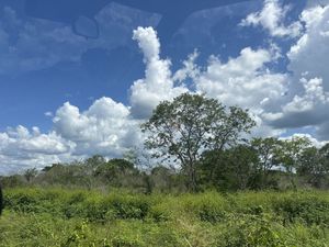 TERRENO SOBRE CARRETERA MERIDA CANCUN