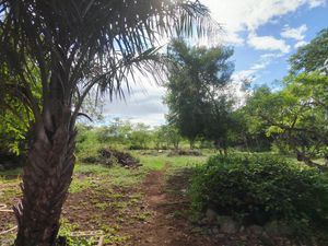 EN VENTA TERRENO EN CHOLUL, MÉRIDA (A UN COSTADO DE LA CARRETERA MÉRIDA-MOTUL)