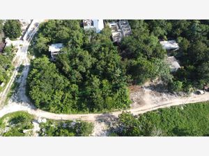 Terreno en Venta en Manuel Antonio Ay Tulum