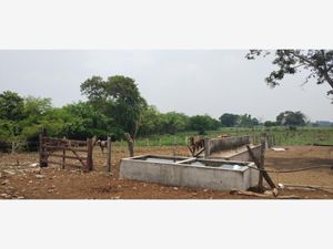 Finca/Rancho en Venta en Las Mariposas Cosamaloapan de Carpio