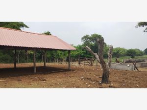 Finca/Rancho en Venta en Las Mariposas Cosamaloapan de Carpio