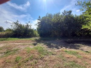 Terreno en Venta en Paso Colorado Boca del Río