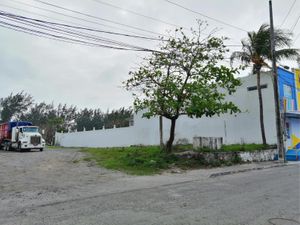 Terreno en Renta en Los Pinos Veracruz