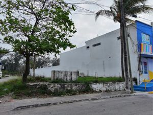 Terreno en Renta en Los Pinos Veracruz