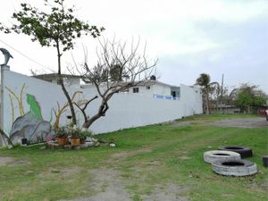 Terreno en Renta en Los Pinos Veracruz