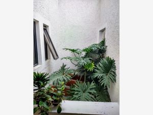 Casa en Venta en Napoles Benito Juárez