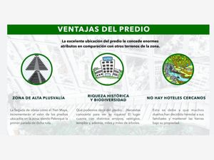 Terreno en Venta en Santa Cruz Palenque