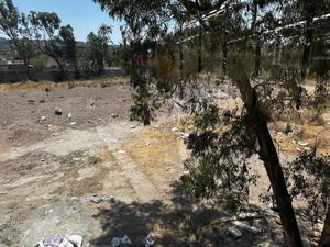 Terreno en Renta en San Martín de las Flores de Abajo San Pedro Tlaquepaque