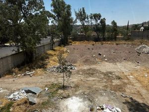 Terreno en Renta en San Martín de las Flores de Abajo San Pedro Tlaquepaque