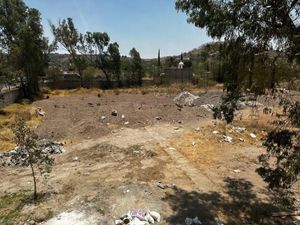 Terreno en Renta en San Martín de las Flores de Abajo San Pedro Tlaquepaque