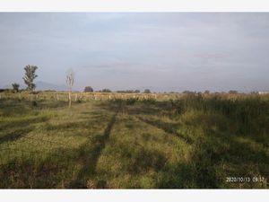 Terreno en Venta en Zapote del Valle Tlajomulco de Zúñiga