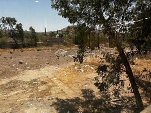 Terreno en Renta en San Martín de las Flores de Abajo San Pedro Tlaquepaque