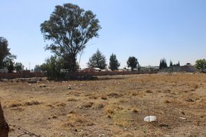 TERRENO EN VENTA EN ACOLMAN