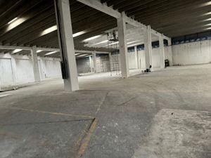 Bodega Renta Toluca 6000 m2