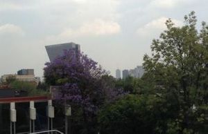 Casa    Renta   Lomas de Chapultepec   1,384 m2