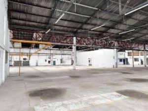 Bodega Renta  Tepotzotlan  8500 m2