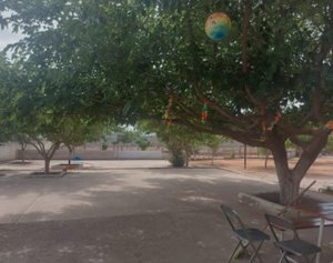 Granja en Venta, Con Alberca, Carretera Aldama