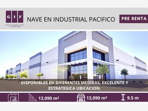 Nave en Renta en Industrial Pacifico I Tijuana