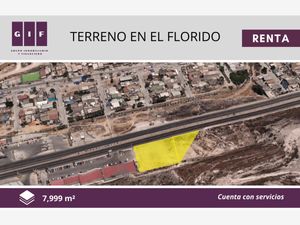 Terreno en Renta en El Florido 1a. Sección Tijuana