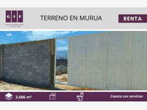 Terreno en Renta en Murua Poniente Tijuana