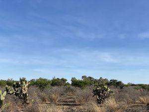 Terreno en Venta en El Salto de los Salado Aguascalientes