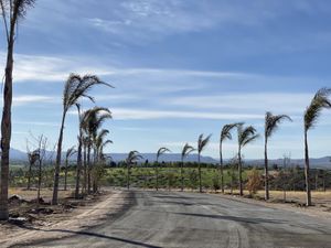 Terreno en Venta en El Salto de los Salado Aguascalientes