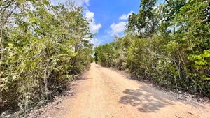 Lotes Habitacionales En Venta En Zona De Crecimiento En Tulum