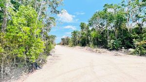 Lotes Habitacionales En Venta En Zona De Crecimiento En Tulum