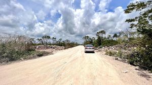 Lotes con Uso de Suelo H3 En Venta Tulum Quintana Roo