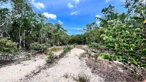 Lote En Venta Region 10 En Tulum Quintana Roo