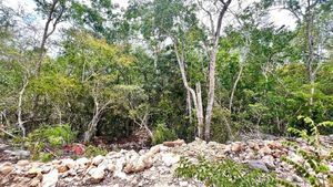 Lote En Venta Region 10 En Tulum Quintana Roo