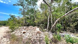 Lote En Venta Region 10 En Tulum Quintana Roo