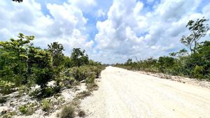 Lotes con Uso de Suelo H3 En Venta Tulum Quintana Roo