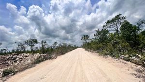 Lotes Habitacionales En Venta En Zona De Crecimiento En Tulum