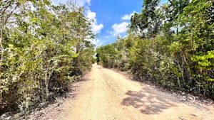 Lotes con Uso de Suelo H3 En Venta Tulum Quintana Roo