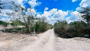 Lote Habitacional en Venta Dentro del Pueblo Macario Goméz