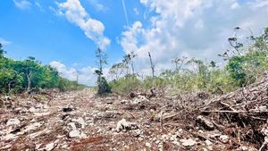 Lotes Habitacionales En Venta En Zona De Crecimiento En Tulum