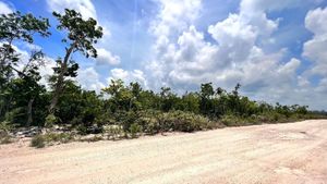 Lotes con Uso de Suelo H3 En Venta Tulum Quintana Roo