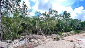 Lote En Venta Region 10 En Tulum Quintana Roo